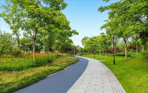 園林景觀中道路與鋪裝的系統性設計與施工要旨